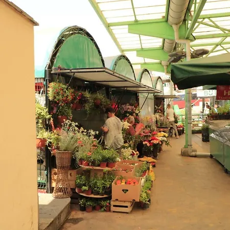 Center House Belgrade