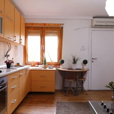 Iva City Center Apartment Belgrade