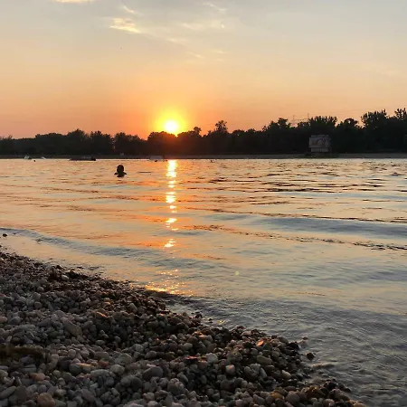 Center House Apartment