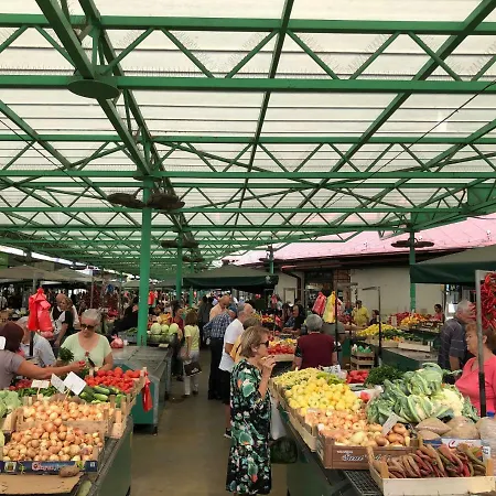 Apartment Center House *